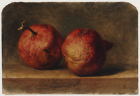TvB T 498
<br/>
Twee appels
<br/>
<em>Joosten, Dirk Jan Hendrik (1818-1882)</em>